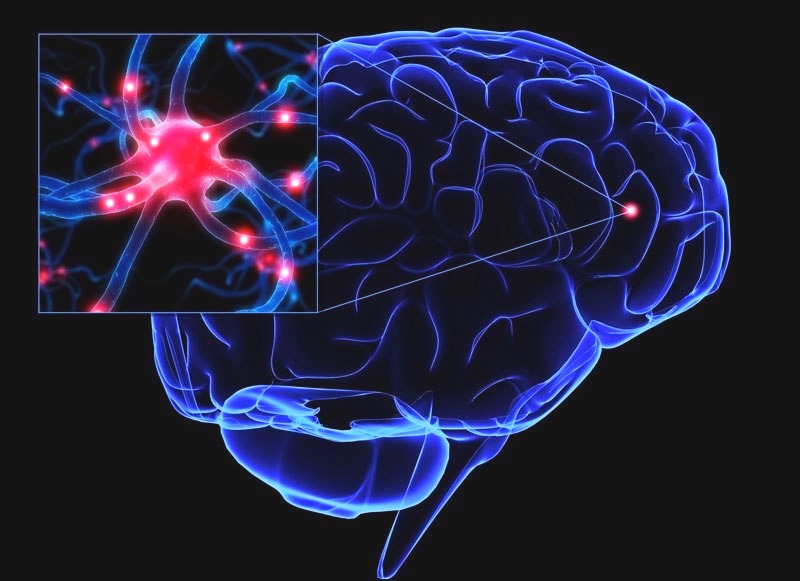 Amyotrophic Lateral Sclerosis